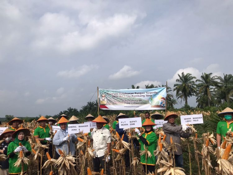 SKK Migas-Pertamina EP Limau Panen Raya di Muara Enim: Dukung Ketahanan Pangan Nasional