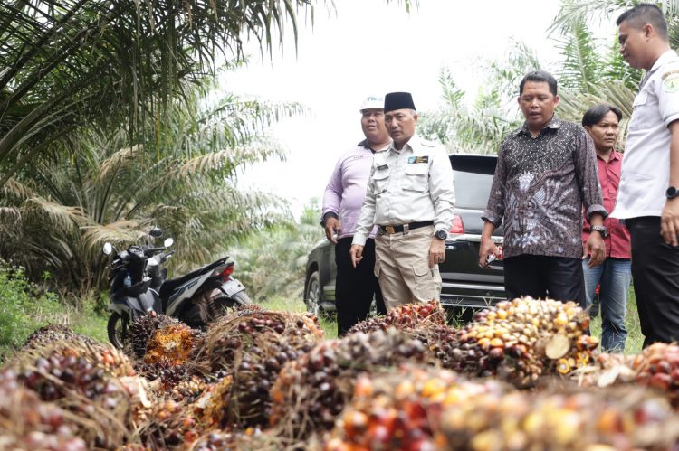 Pj Bupati Apriyadi Sambangi Petani Sawit di Desa Sidorejo Keluang