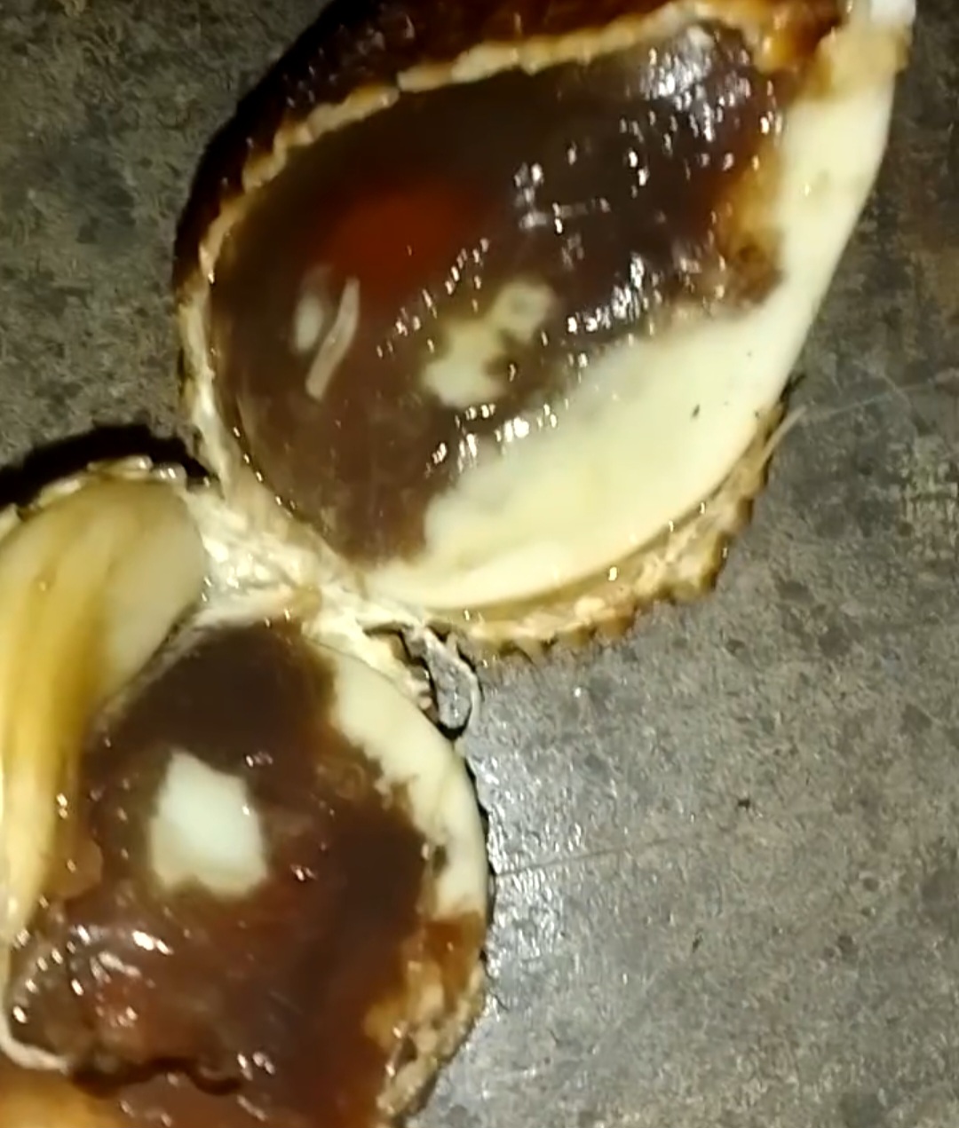 Buah Salak Berulat dalam Menu MBG, Diduga Menu Makanan Dari Salah Satu SD di Padat Karya Gunung Ibul